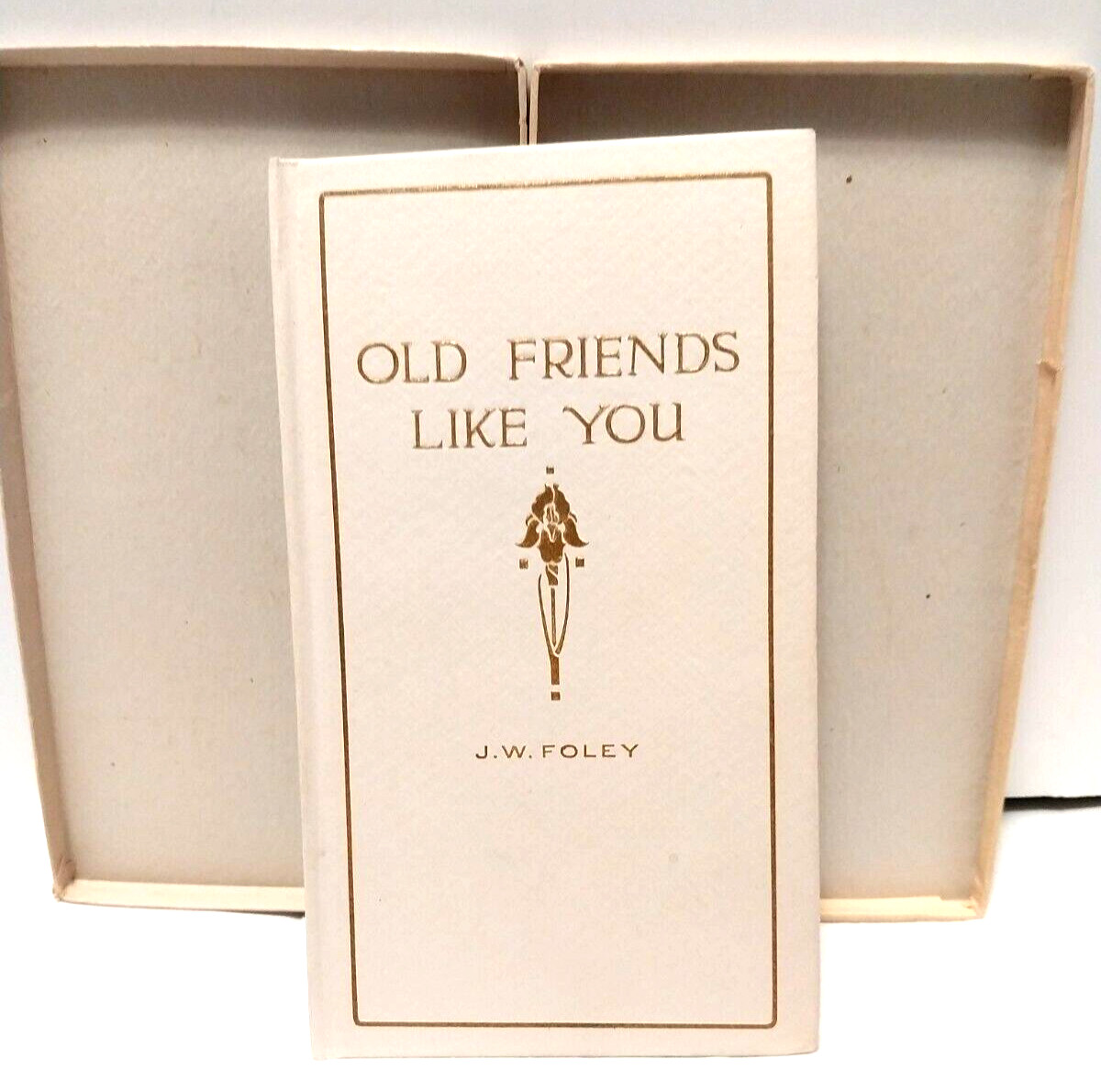 OLD FRIENDS LIKE YOU by J W Foley (1914, Thin Hardcover) In Original Box / Rare!