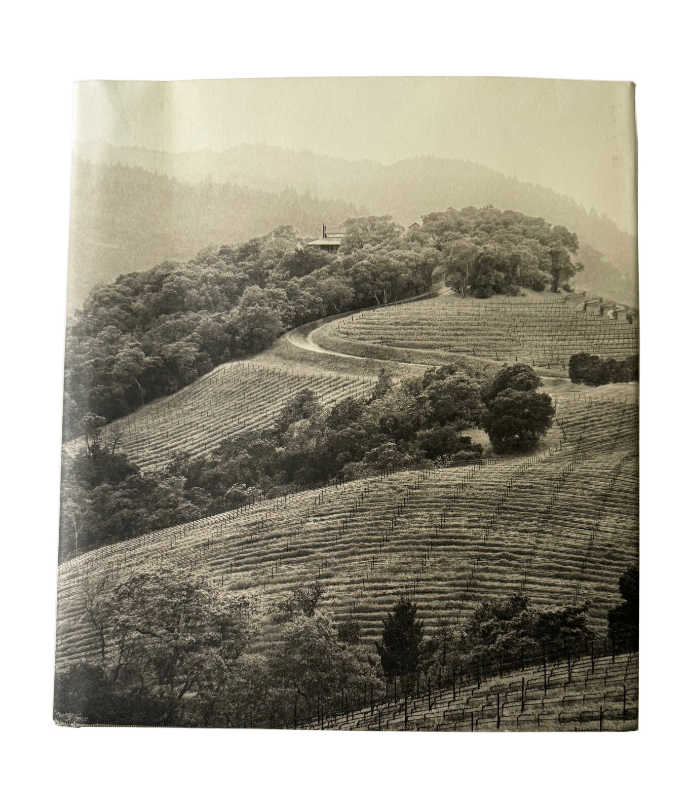 OBSERVATIONS FROM THE HILLSIDE Harlan Estate Hard Cover Dust Jacket 2010 207pp