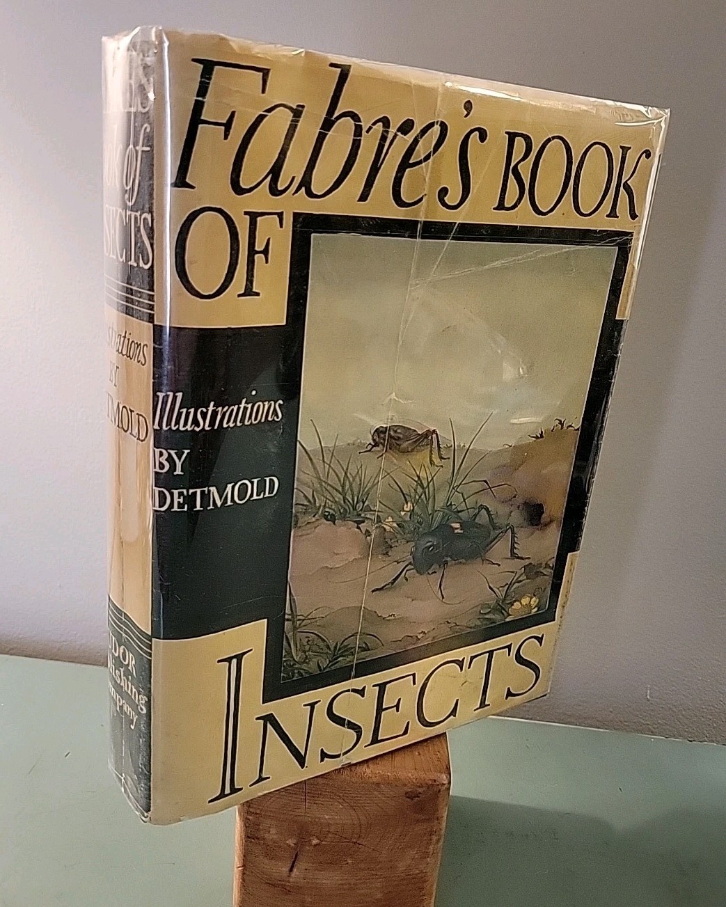Fabre’s Book Of Insects 1936 Tudor Publishing 5th Printing Illust By Dermold