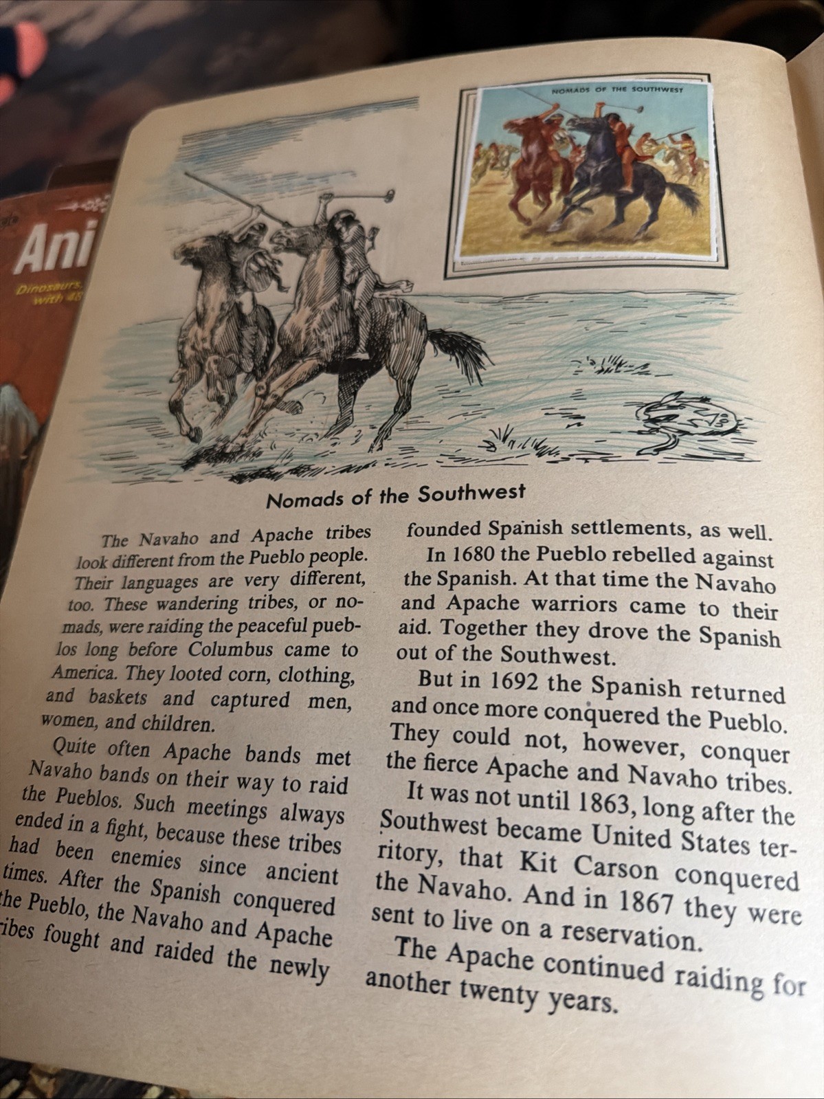 The Golden Book Of Indian Stamps 48 Native American 8th printing 1973