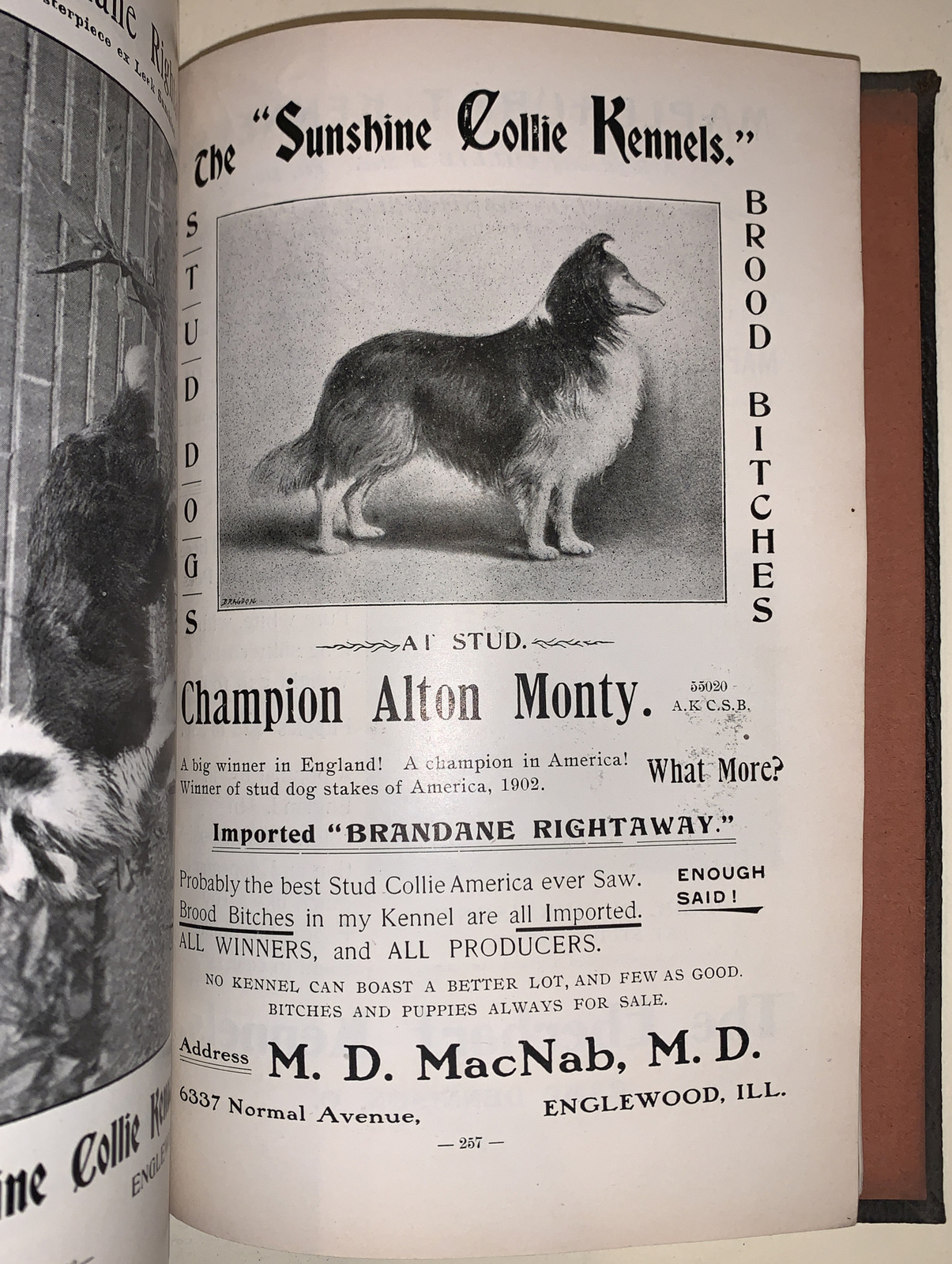 1902, EVERYTHING ABOUT DOGS, EBERHART, CANINE, DOG CARE