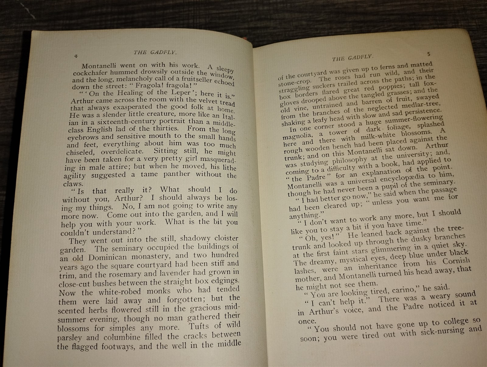 1897 First Edition The Gadfly – Ethel Lilian Voynich Antique Hardcover Book Holt