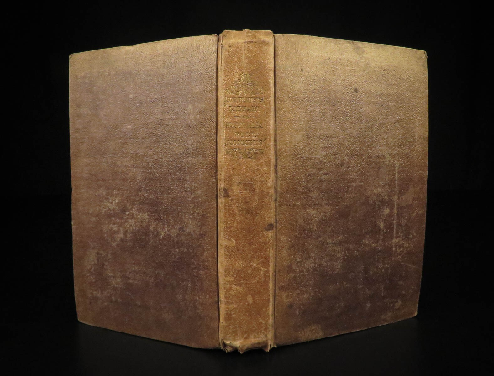 1833 1ed MONKEY Evolution Primate Chimpanzee Orangutan Color Illustrated Jardine