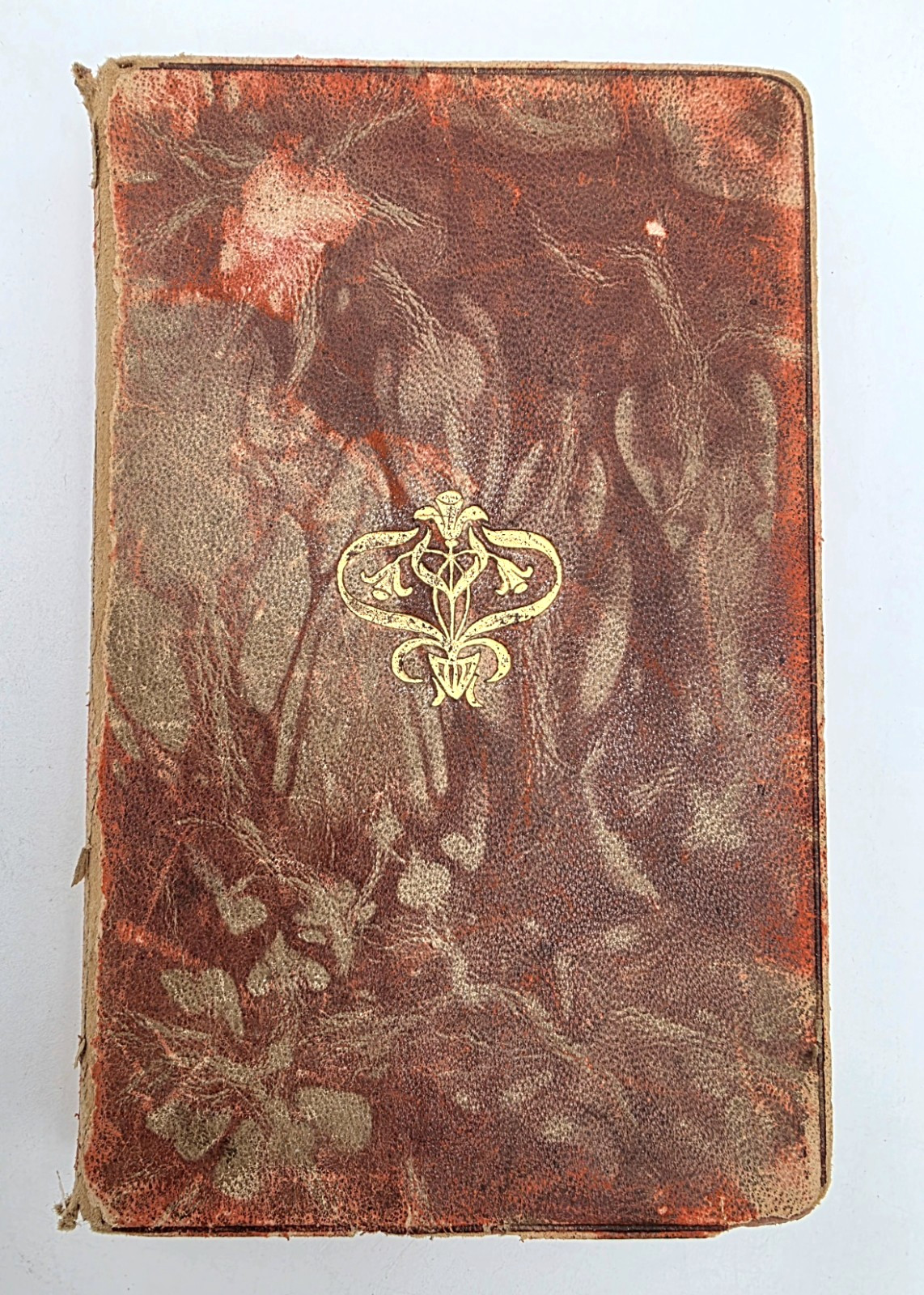 1899 Song of Hiawatha Longfellow Leather Bound Illustrated Antique Book READ