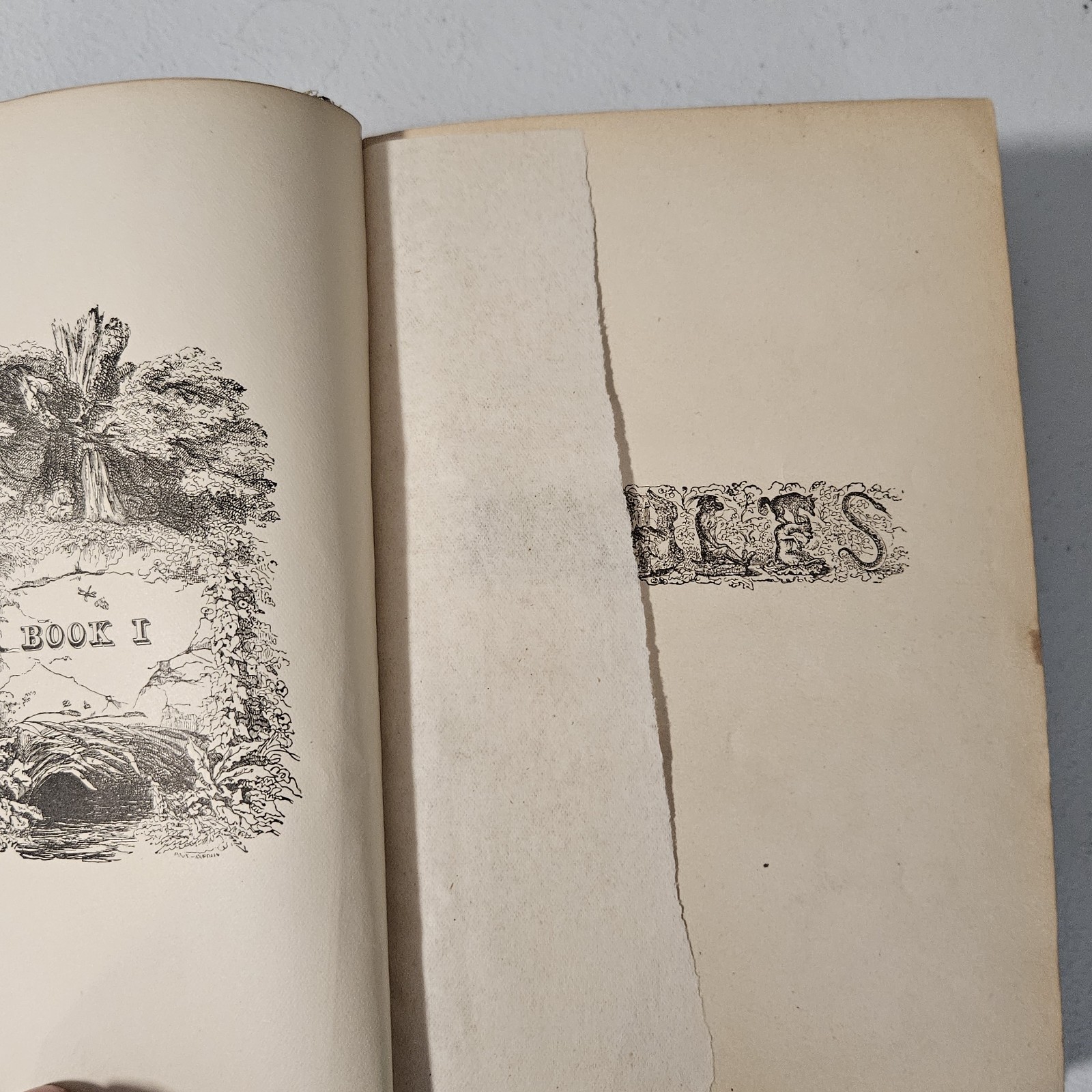 La Fontaine’s Fables With Illustrations J. J. Grandville 1889 HC Worthington…