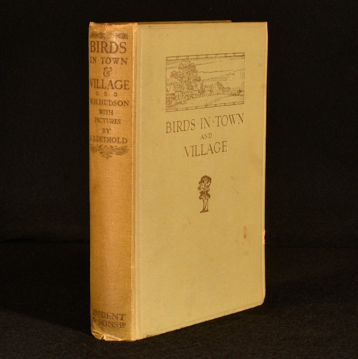 1919 Birds in Town & Village W. H. Hudson First Edition Colour Illustrations