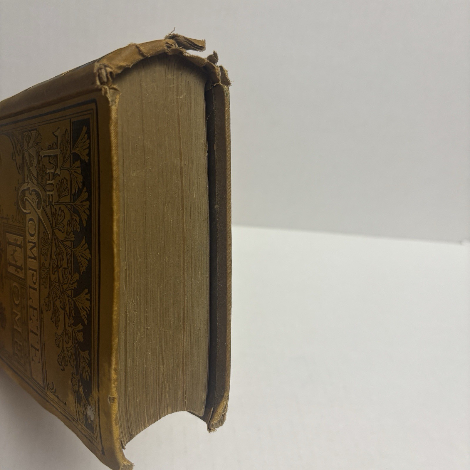 1879 RARE The Complete Home Book Julia McNair WRIGHT Domestic Life and Affairs