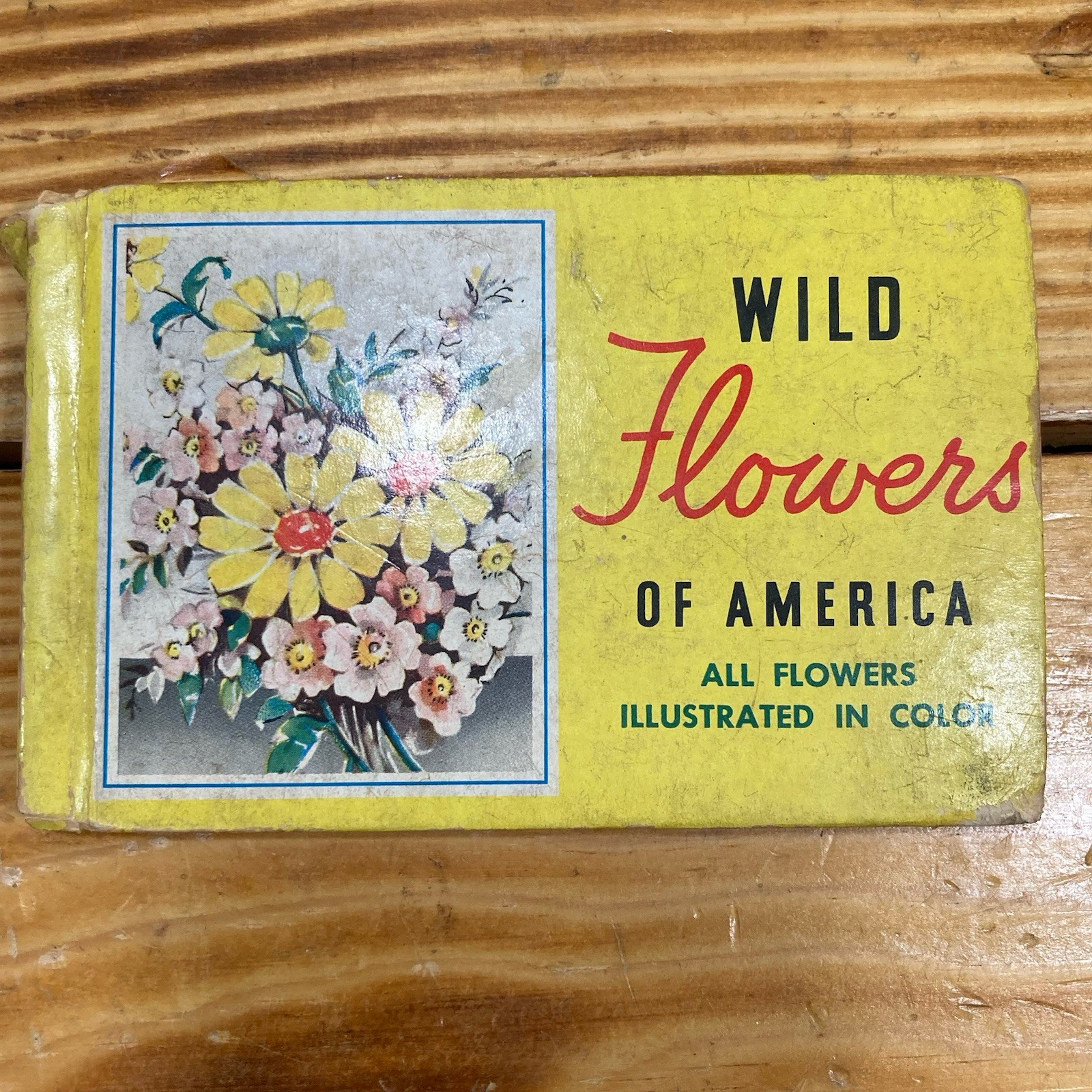 Vintage 1932 Whitman Pocket Book Field Guide Wild Flowers of America Jane Harvey