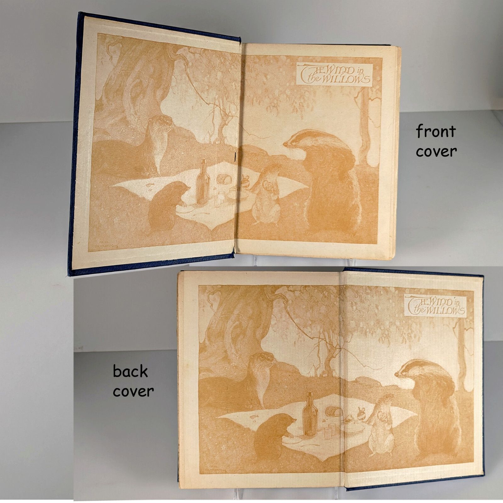 The Wind in the Willows First ILLUSTRATED Edition 1913
