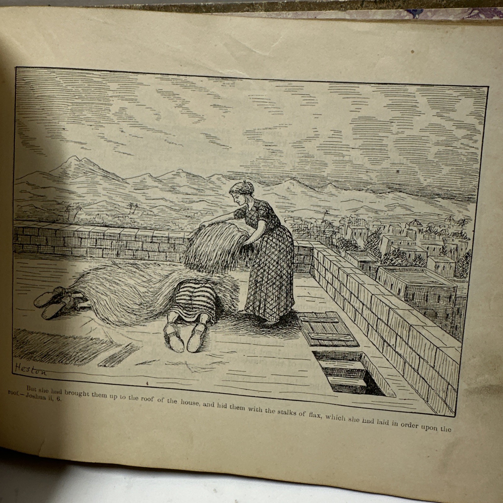 Old Testament Stories Comically Illustrated 1892 By Watson Heston