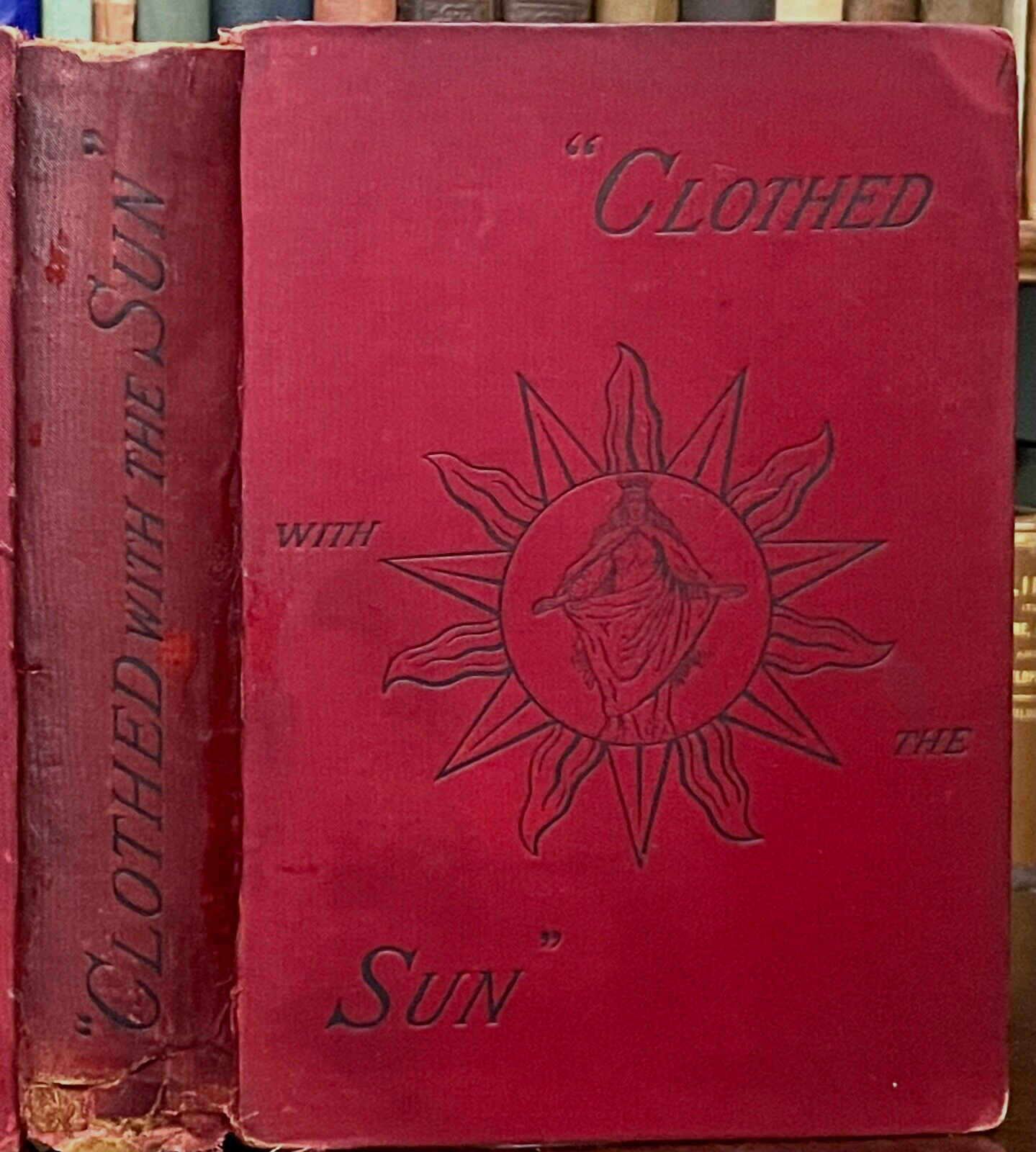 CLOTHED WITH THE SUN – Kingsford, RARE 1st Ed, 1889 SOUL DIVINE MYSTIC PROPHECY