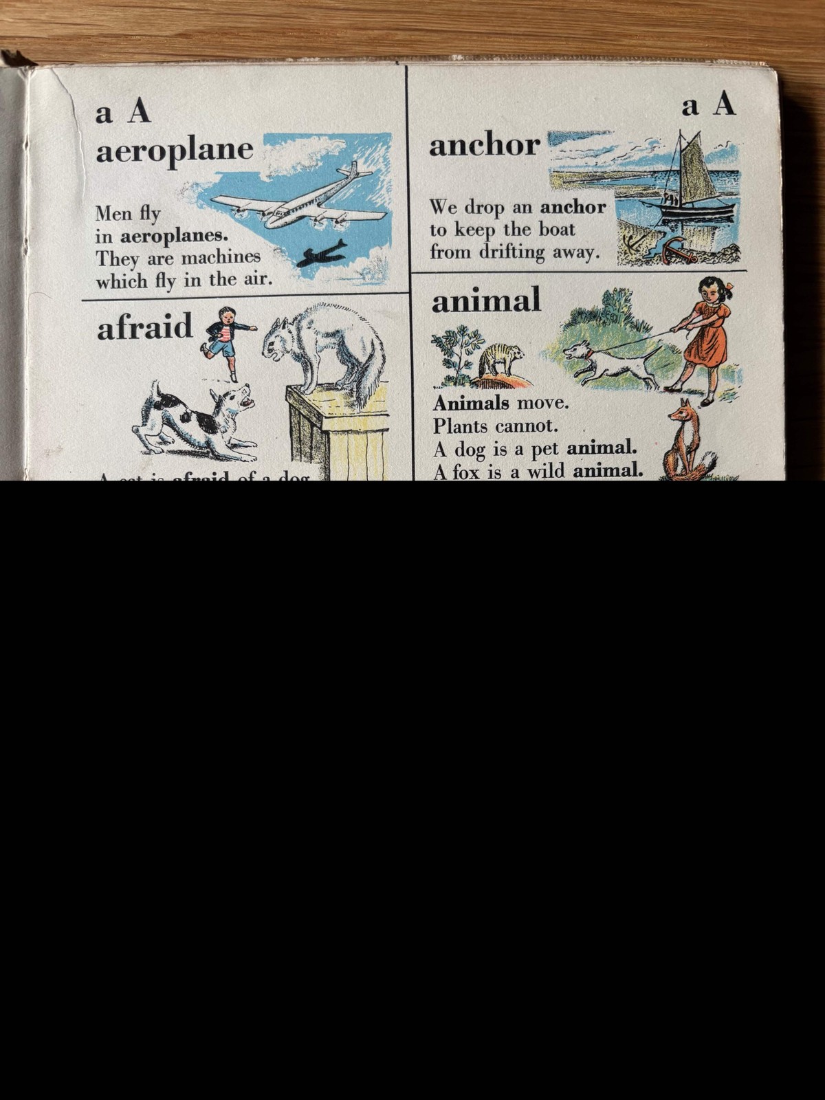 John Buckland-Wright CASSELL’S PICTURE DICTIONARY 1952, 1st Ed Mary Waddington I