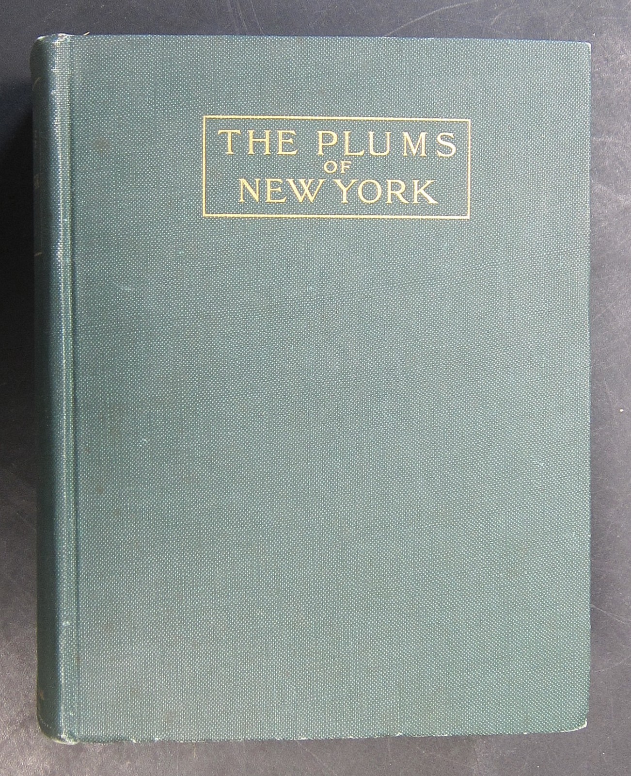 The Plums of New York by Hedrick 1911 / Beautiful Color Plates