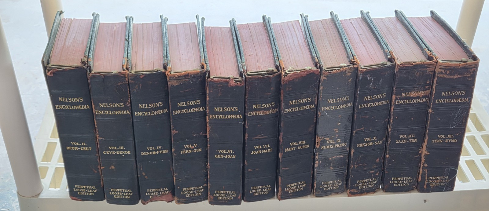 Antique Nelson’s Perpetual Loose-Leaf Encyclopædia Vols. 2-12