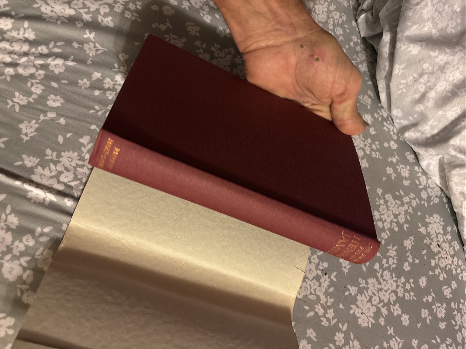 The Sacred Fount (Henry James – 1959) Very Good Condition-dust Jacket