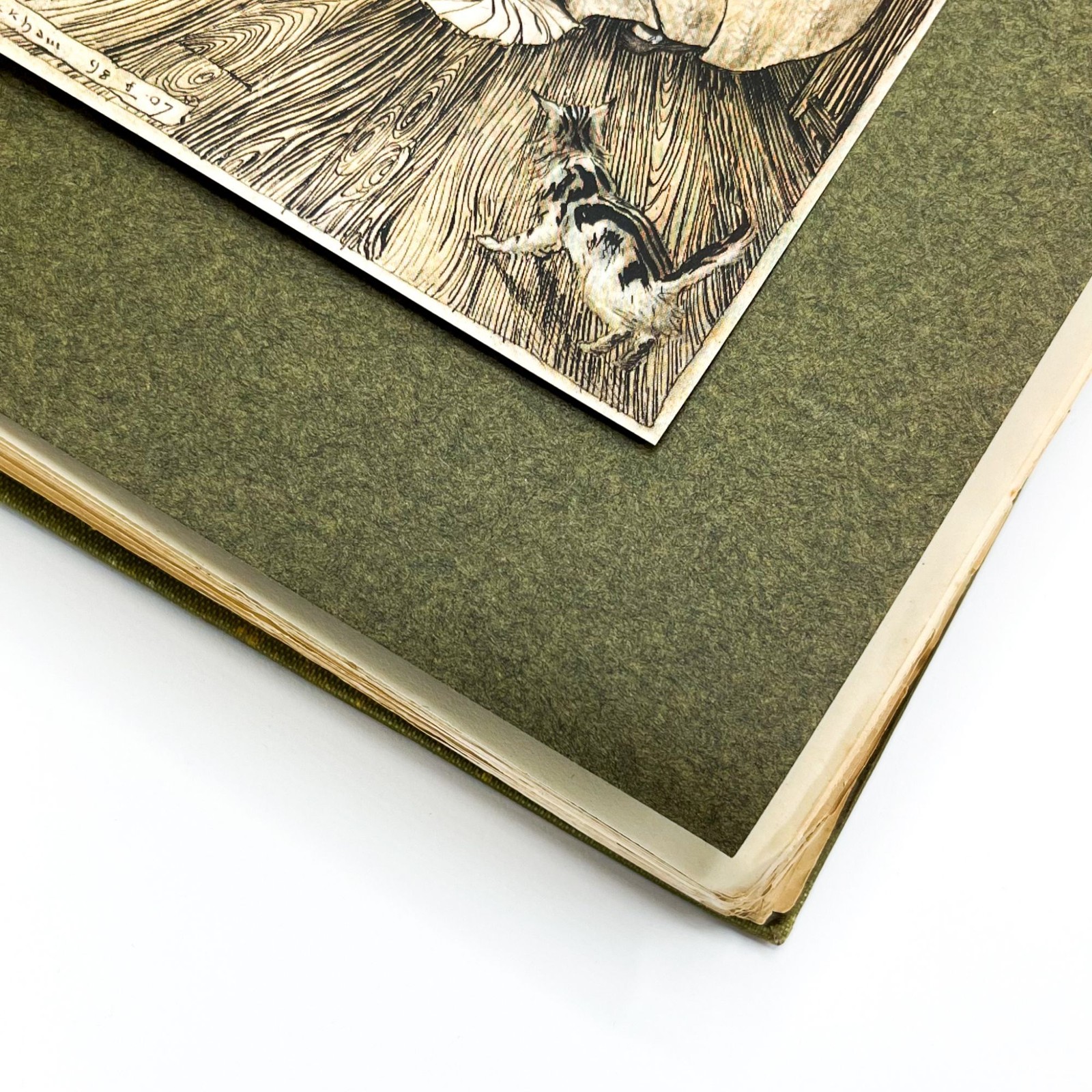 Thomas Ingoldsby, Arthur Rackham / INGOLDSBY LEGENDS 1907
