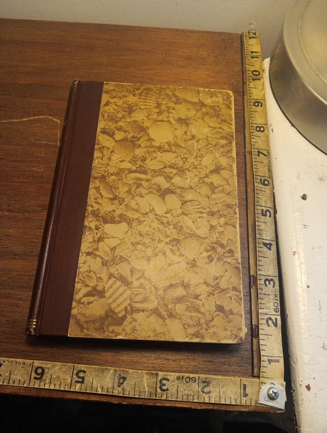 Charles B Reynolds: Old Saint Augustine, a Story of Three Centuries. HC, 1893
