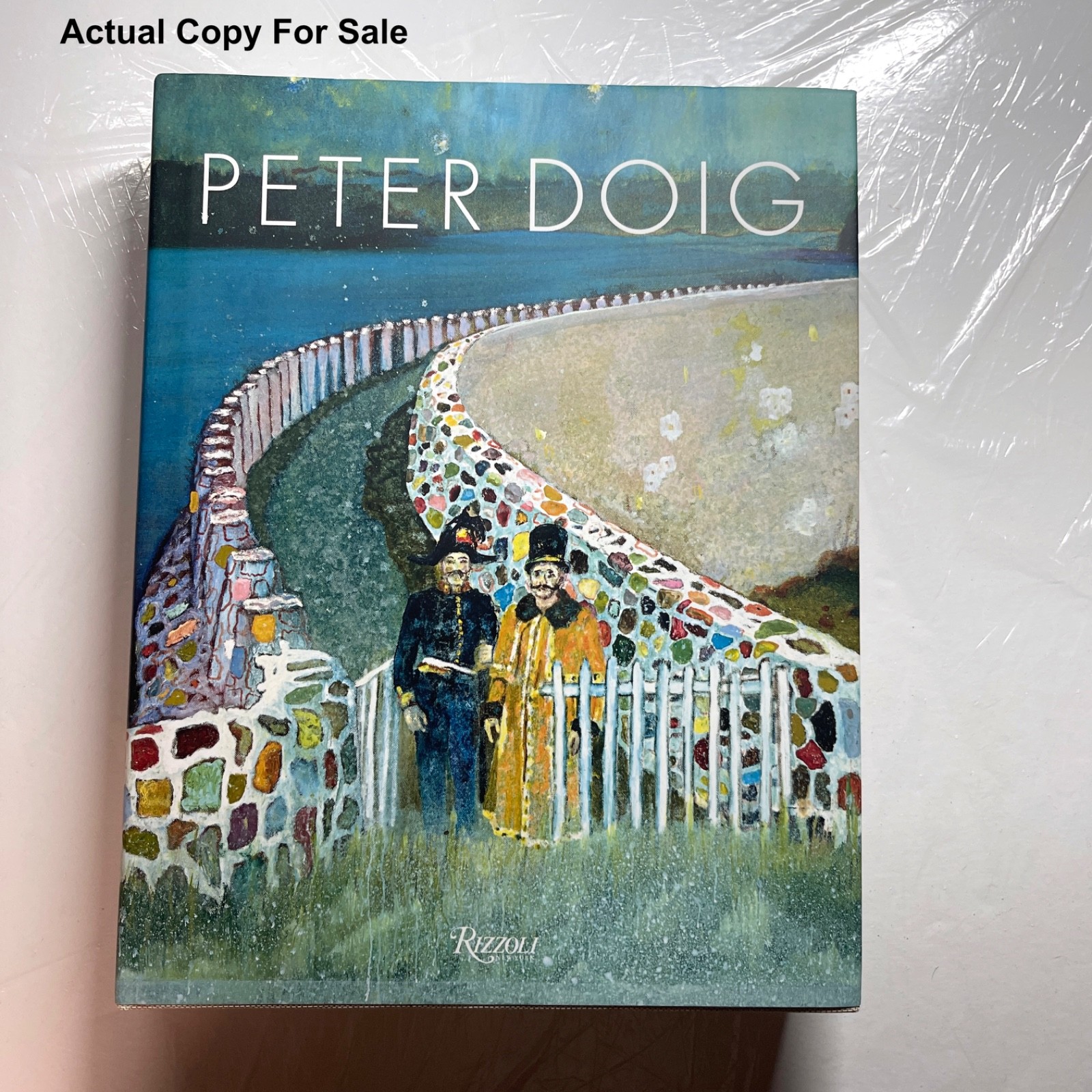 PETER DOIG 2016 RIZZOLI Catherine Lampert NEAR FINE HC DJ ACTUAL COPY SHOWN
