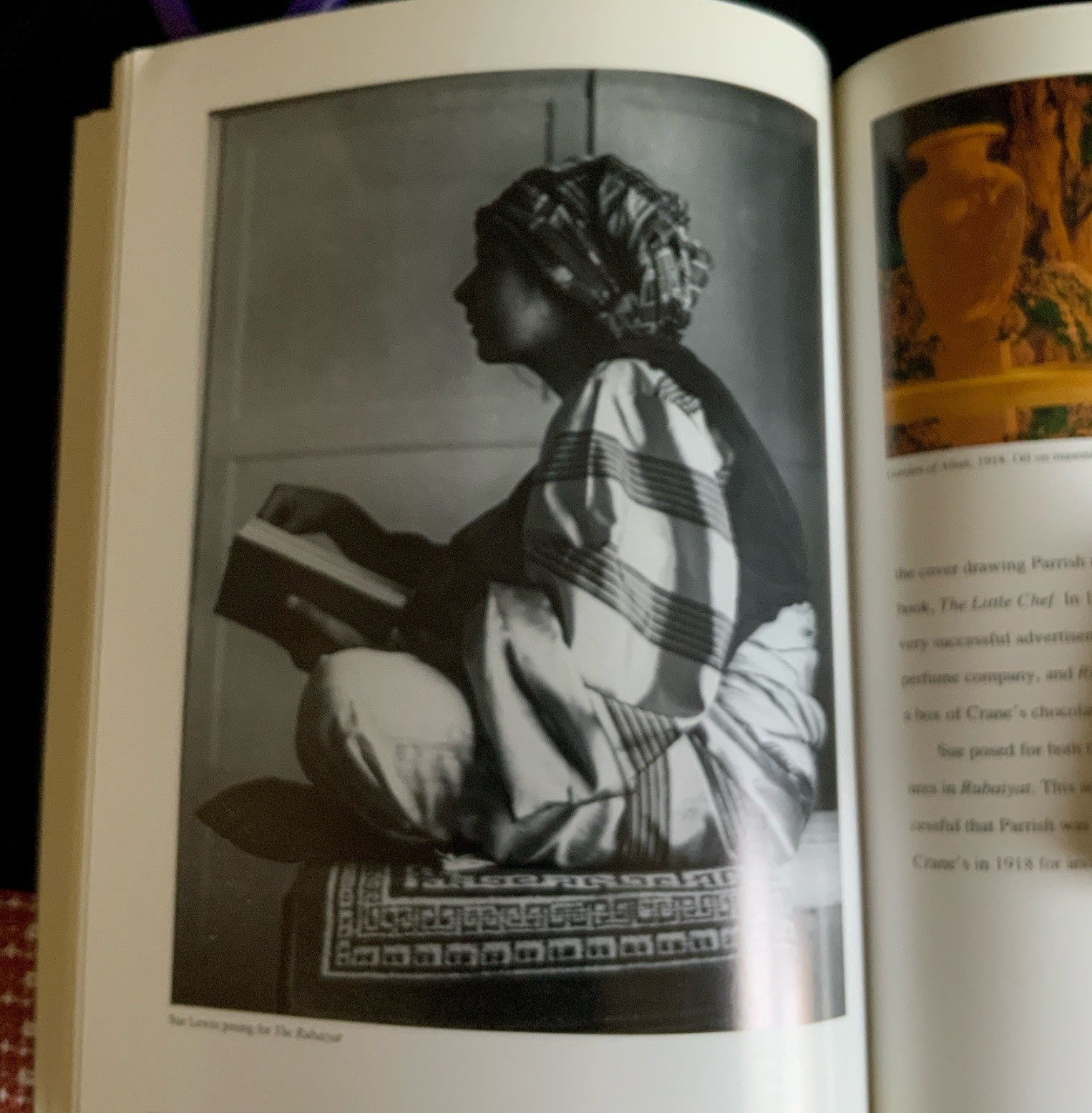 “Maxfield Parrish & Sue Lewin” 1990 1st Ed SC 85 Pg Illust’ed Alma Gilbert, Mint