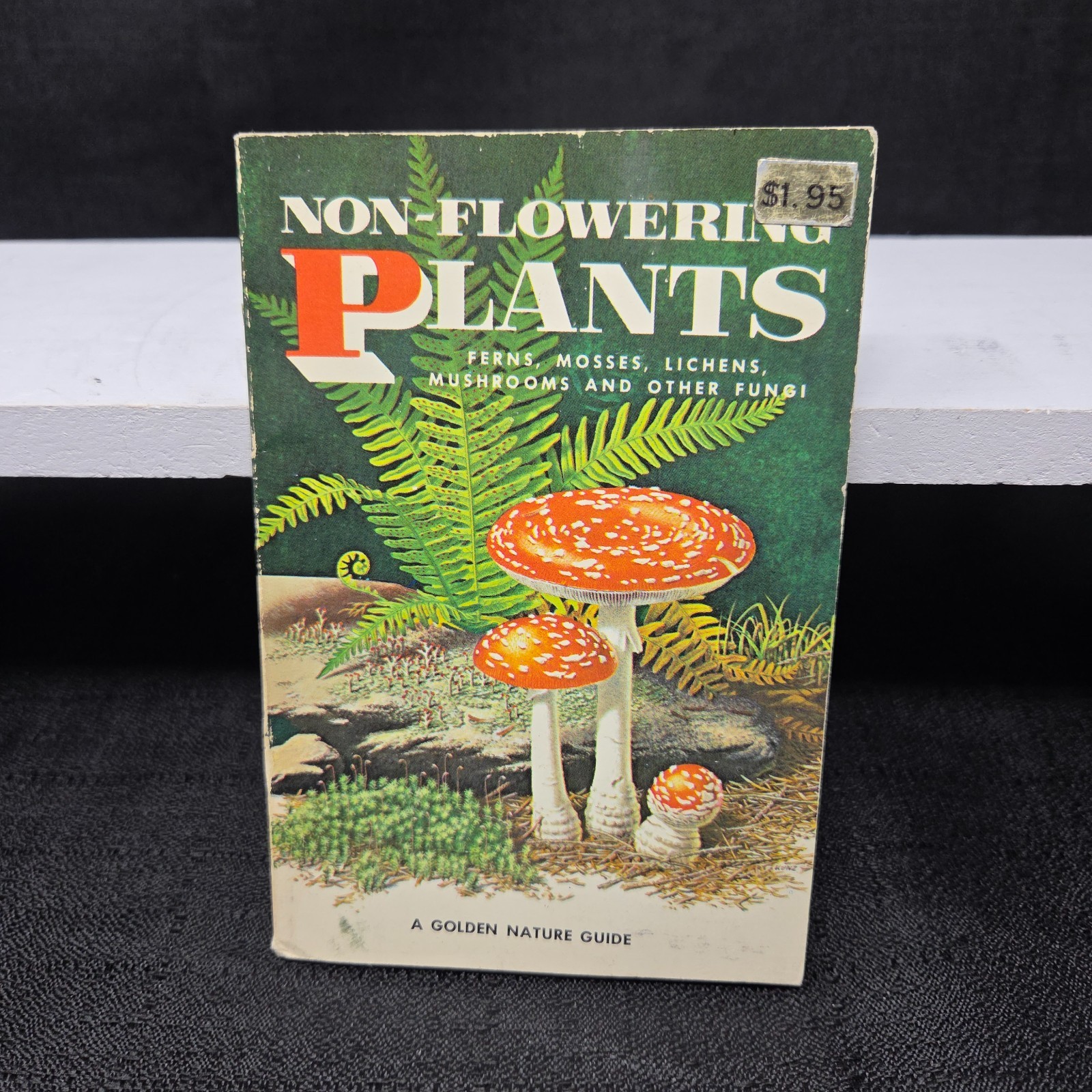 A Golden Nature Guide ~ Non-Flowering Plants (1967) ~ Golden Press ~ Paperback