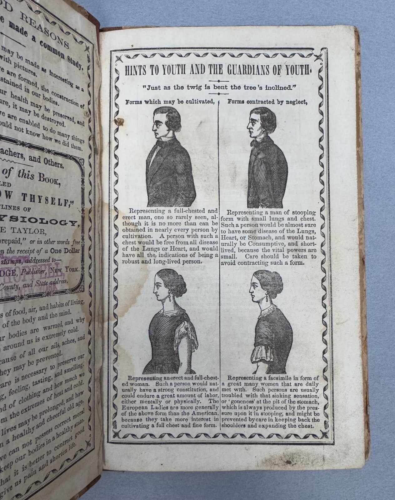 „Wouldst Know Thyself“ – 1858 – Jane Taylor – Victorian Era Physiology Book