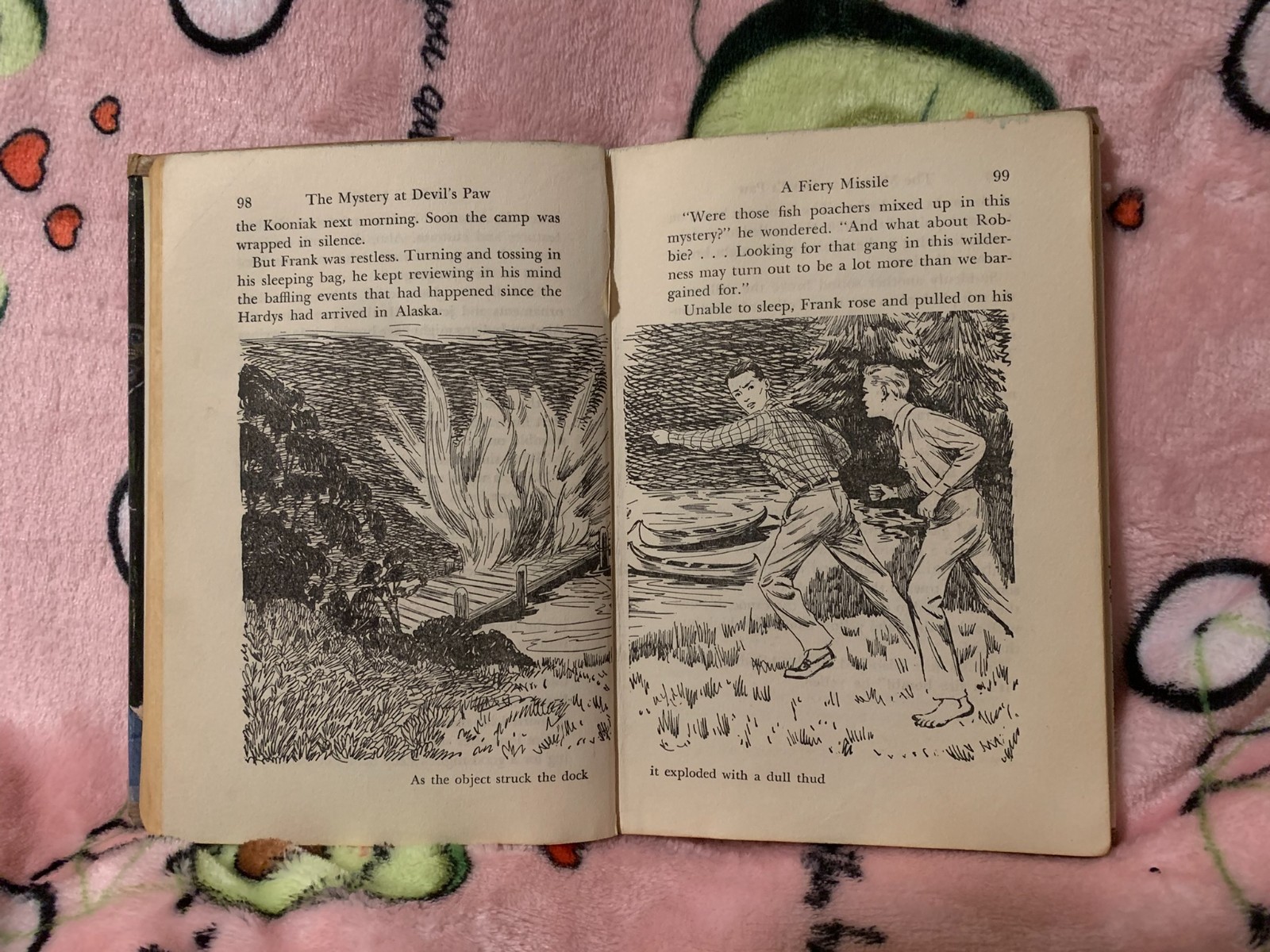 First Edition 1959 HARDY BOYS #38 „The Mystery at Devil’s Paw“ w/Dust Jacket
