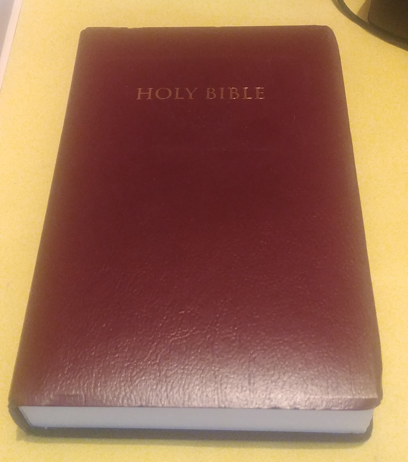1982 New King James Version Bible