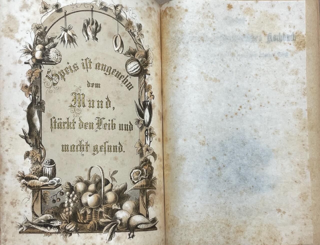 Neues Illustrirtes Schweizer Kochbuch [New Illustrated Swiss Cookbook] 1876