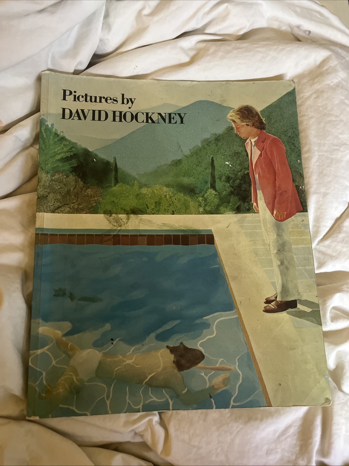 „PICTURES BY DAVID HOCKNEY“ RARE 1979 1ST EDITION LITHOGRAPH PRINT POP ART BOOK