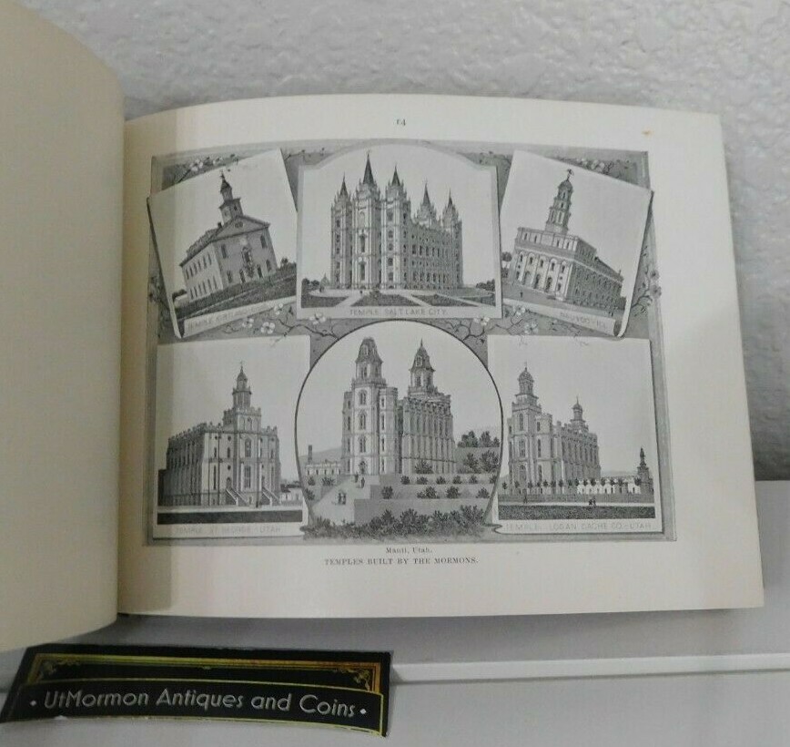 A REFLEX of SALT LAKE CITY and VICINITY by C R Savage HB Utah 1900’s Art Bazar