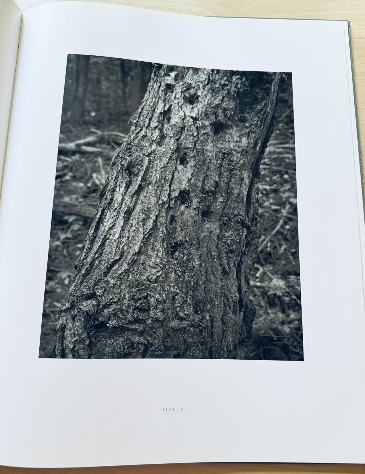 Stephen Shore: Essex County, 1st Edition, Signed, As New, Nazraeli Press, 2006