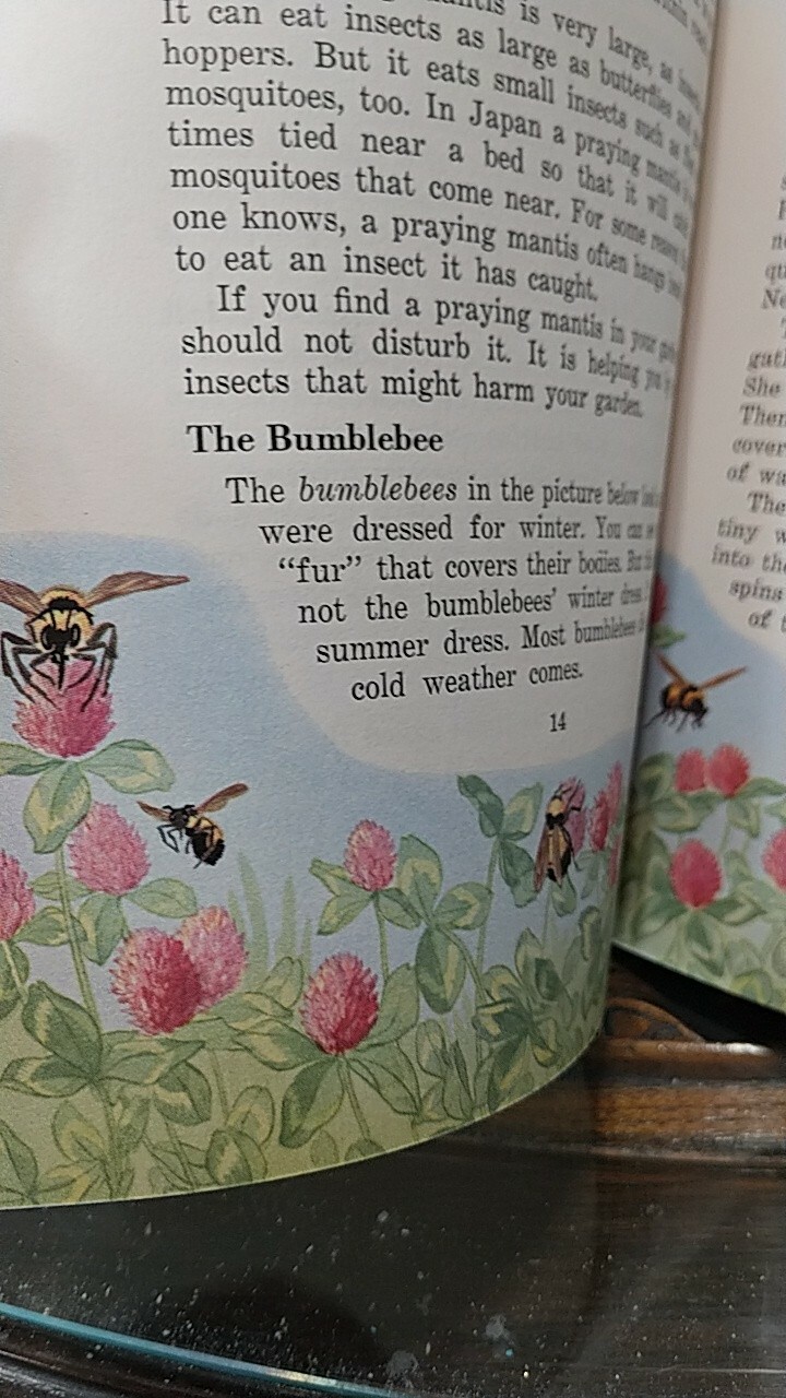 „INSECTS AND THEIR WAYS“. 1940s Basic Science Education Series children’s book.