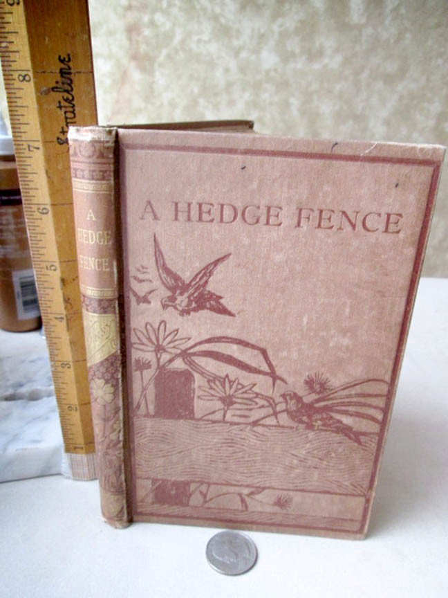 A HEDGE FENCE,1884,By Pansy,Illustrated