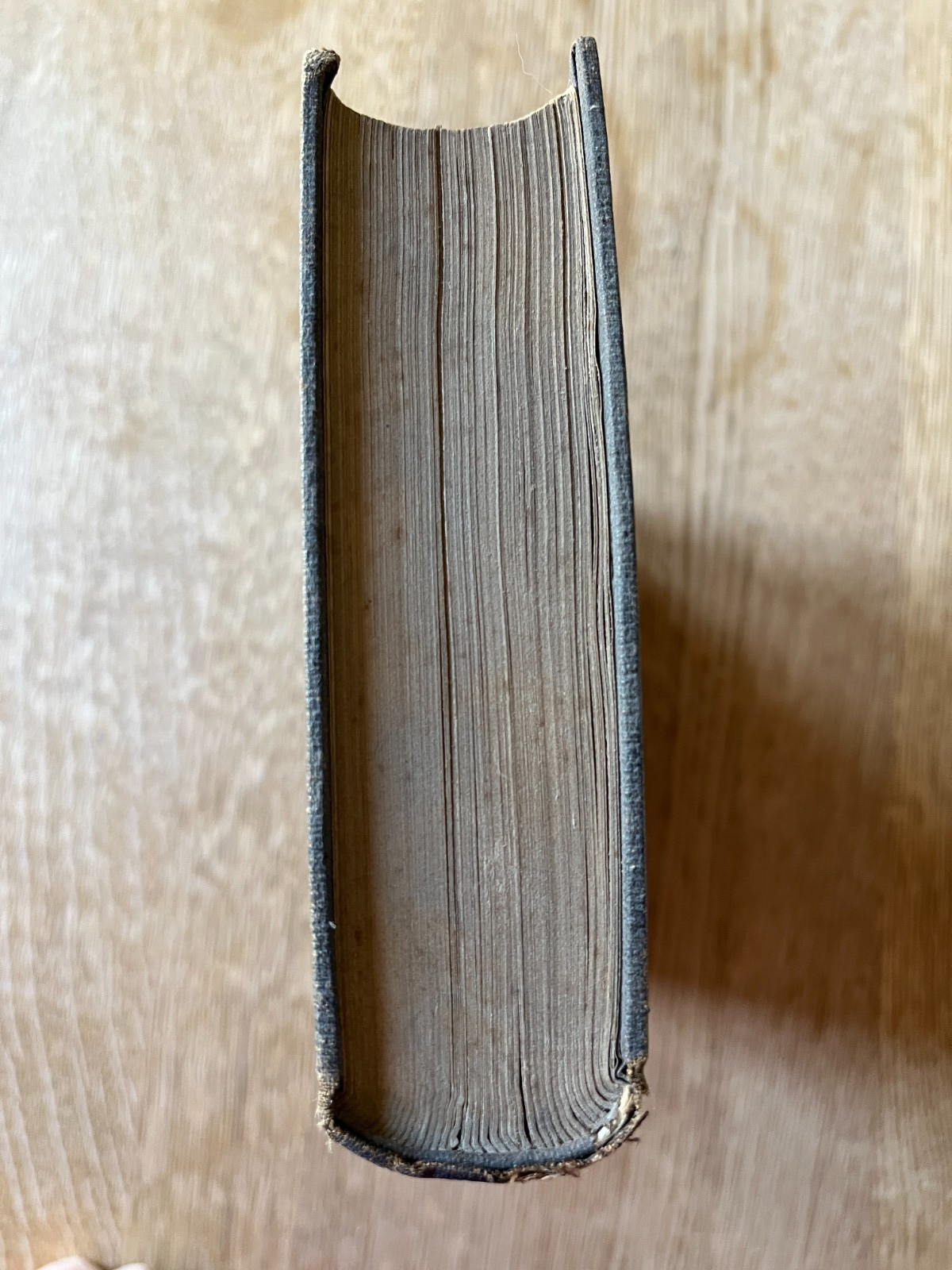 Germany; Its Universities, Theology and Religion – 1857 HC – Philip Schaff