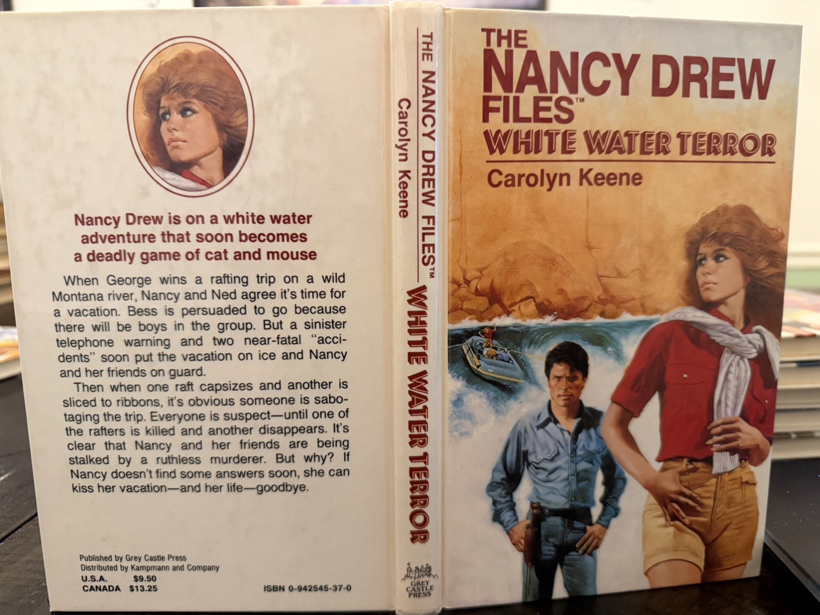 Nancy Drew Files – Hardcover Complete 10 Book Set Grey Castle Press Like New