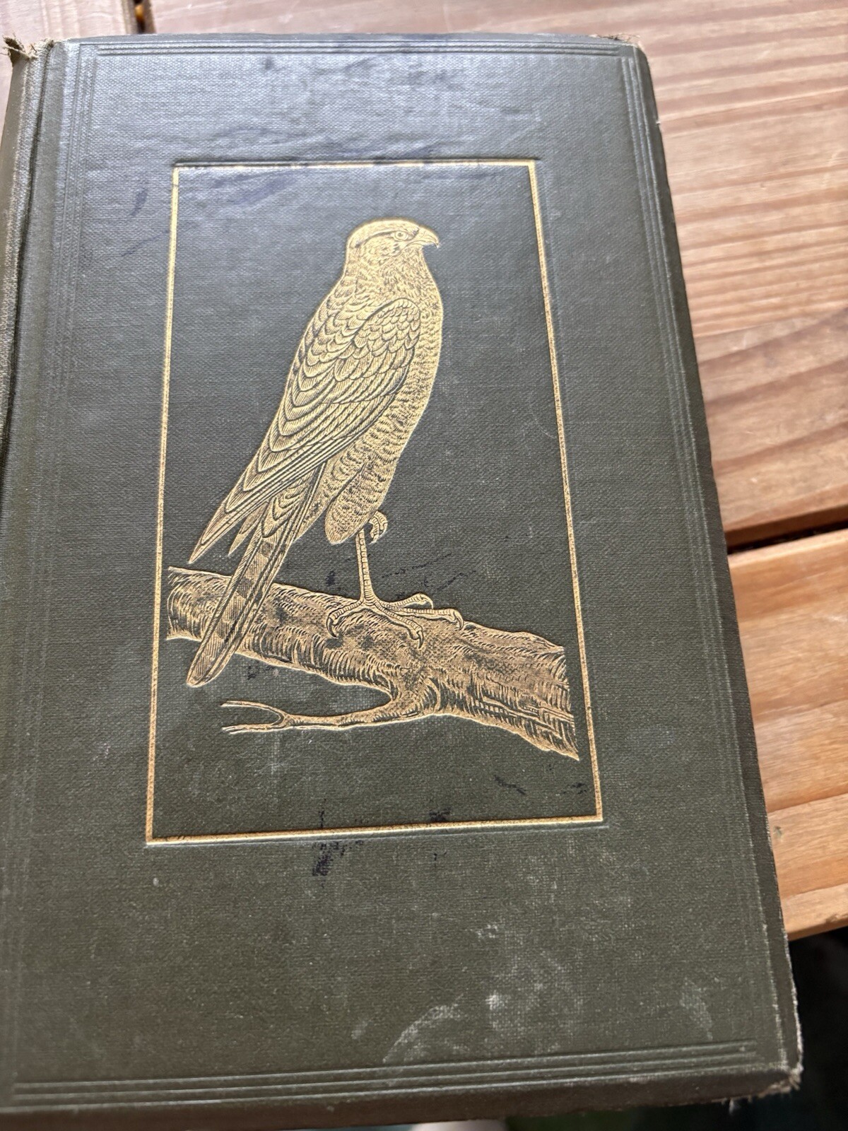 British Birds in Their Haunts by Rev. C.A. Johns – Hardback, 1922