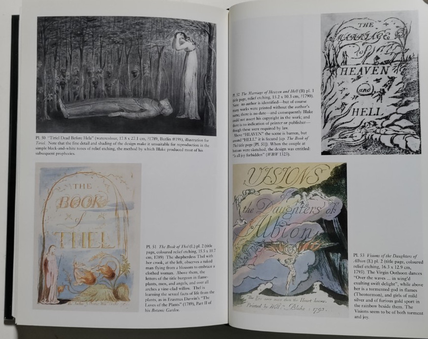 The Stranger from Paradise – William Blake – Yale U.P., 2001 – First Ed. – DJ