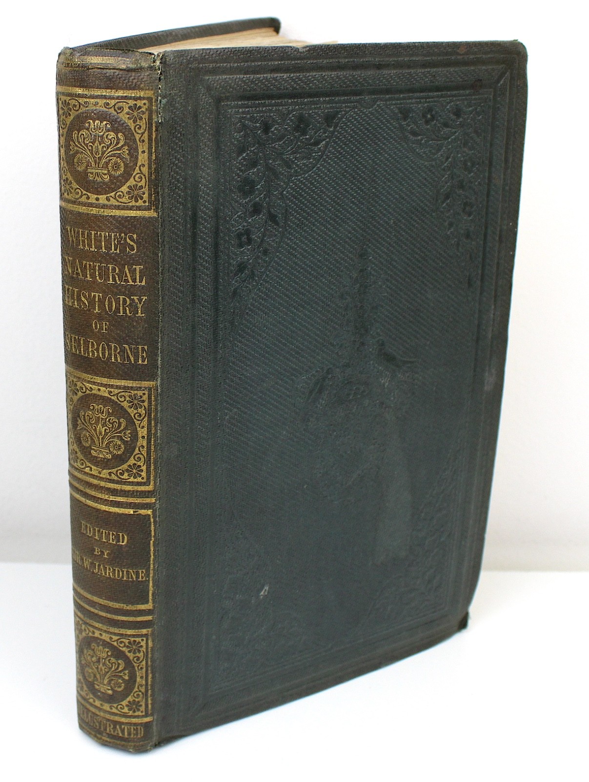Natural History & Antiquities of Selborne 1853 Gilbert White Nature Naturalist