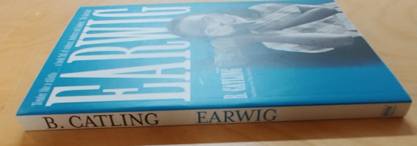 EARWIG by B Catling paperback Hodder Press swan river