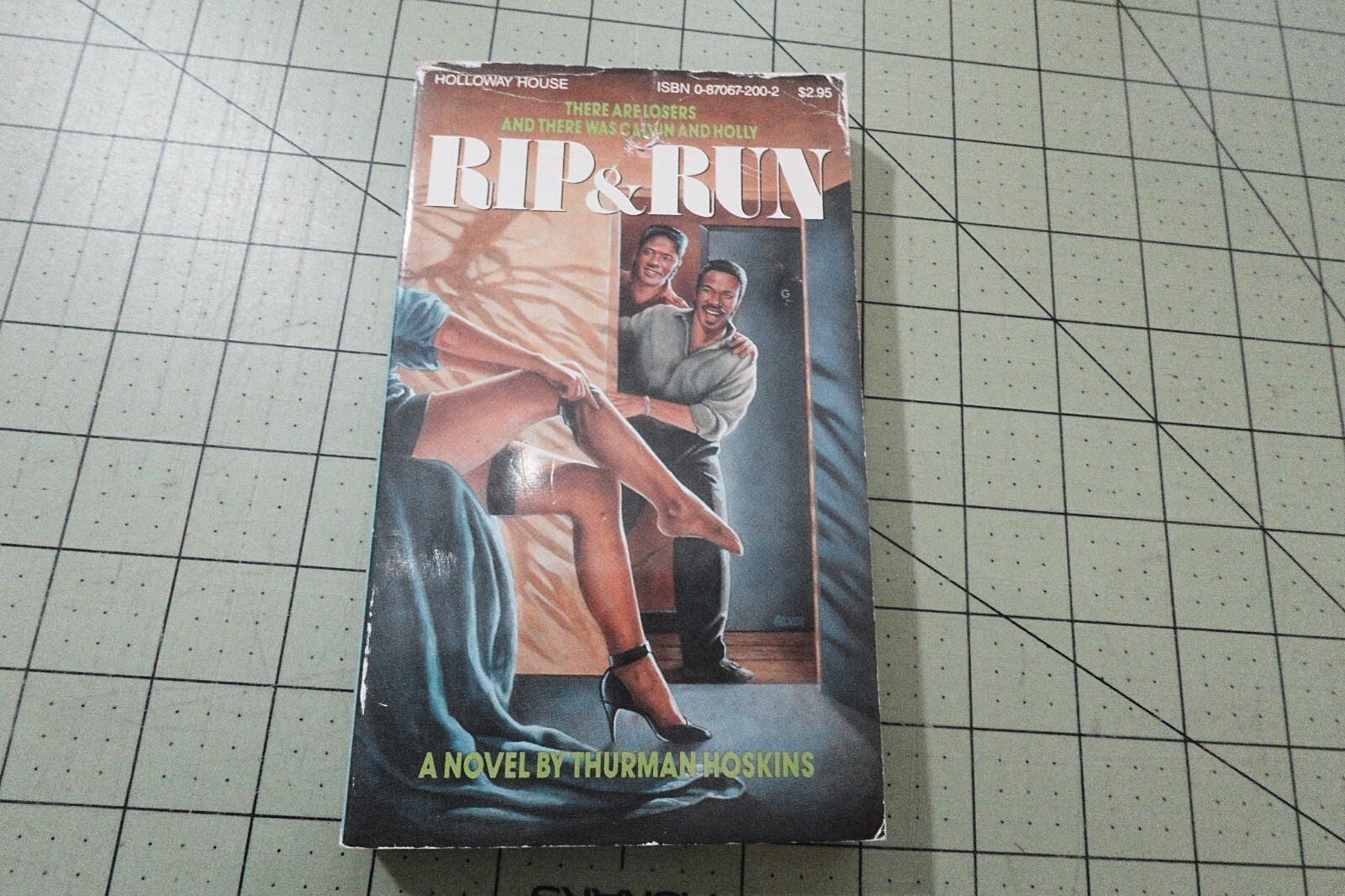 RIP & RUN BY THRUMAN HOSKINS 1989 HOLLOWAY HOUSE BKS SLEAZE THRILLER GGA PB
