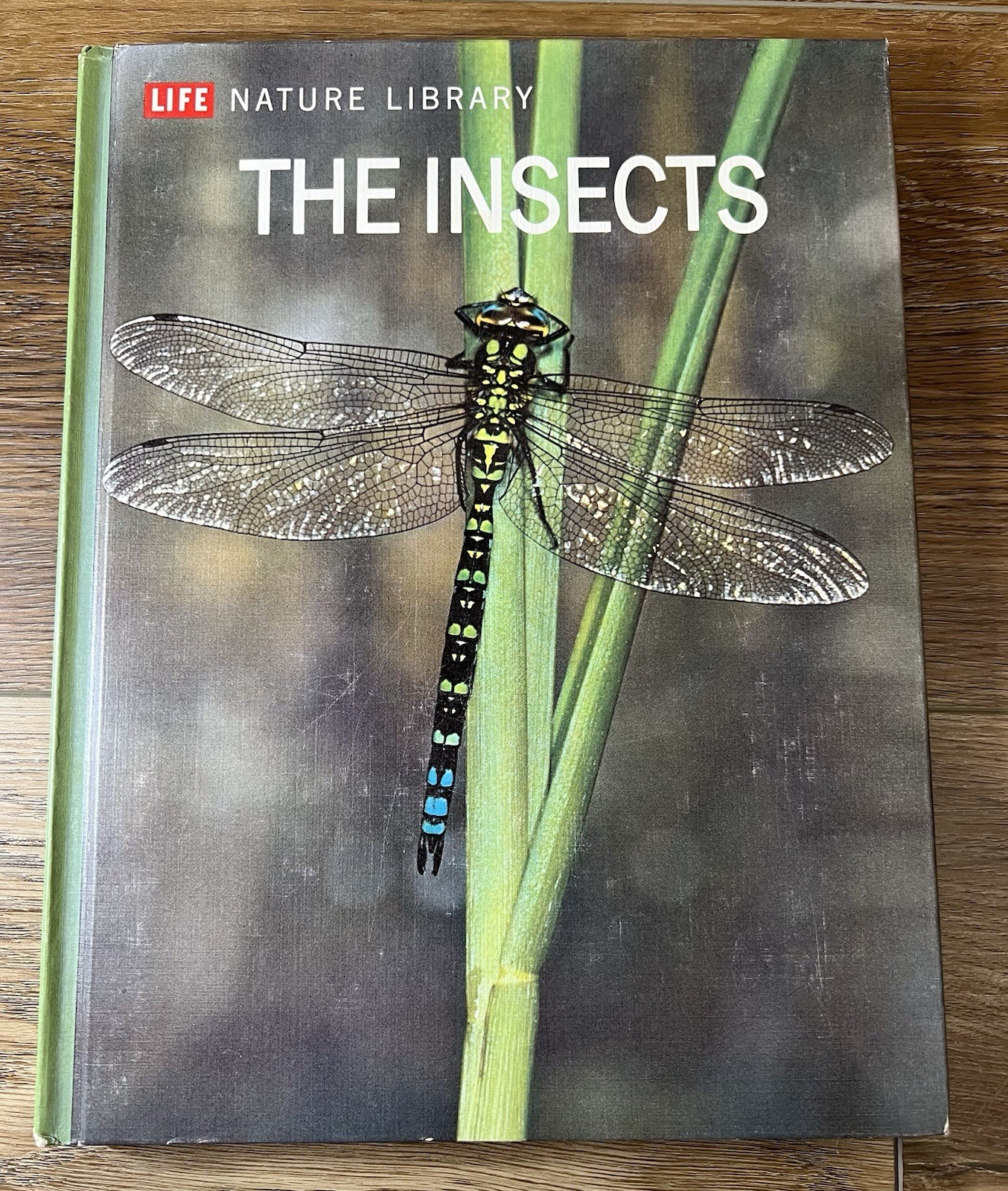 Life Nature Library: The Insects Vintage Hardcover With Color Photos, 1963