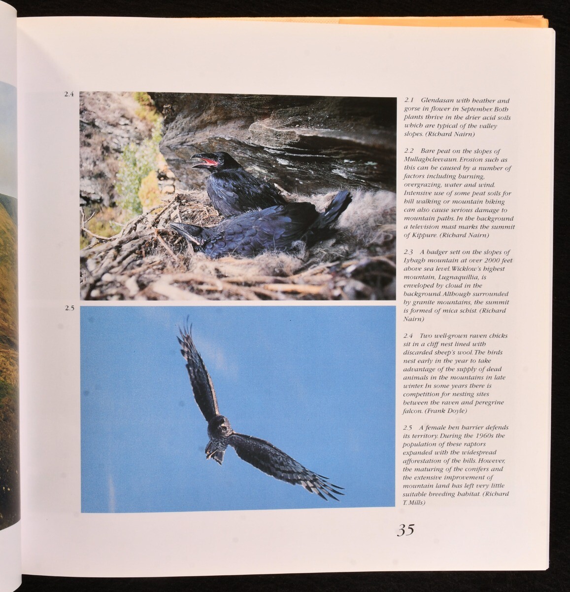1998 Wild Wicklow: Nature in the Garden of Ireland by Richard Nairn and Miria…