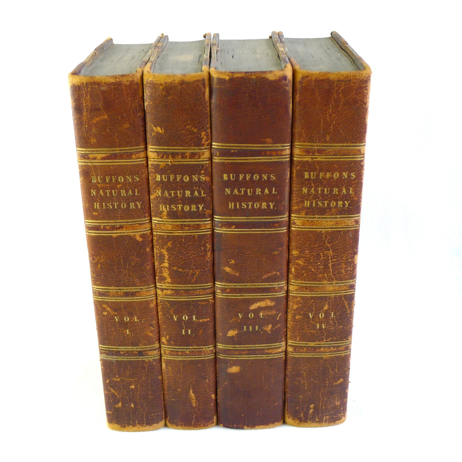 BUFFON’S NATURAL HISTORY – Complete 4-Volume Set, Published in 1831 in London