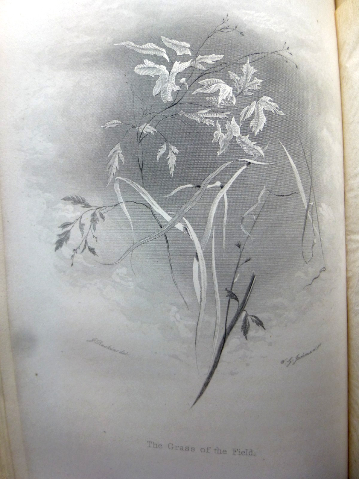 JOHN RUSKIN THE TWO PATHS JOHN WILEY 1859 FIRST AMERICAN ED EX