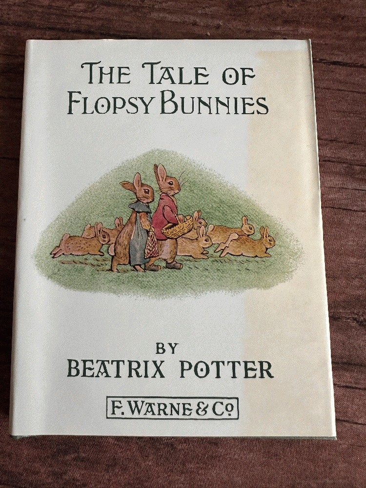 The Original Peter Rabbit Books~Beatrix Potter box set of 23 COMPLETE HCDJ