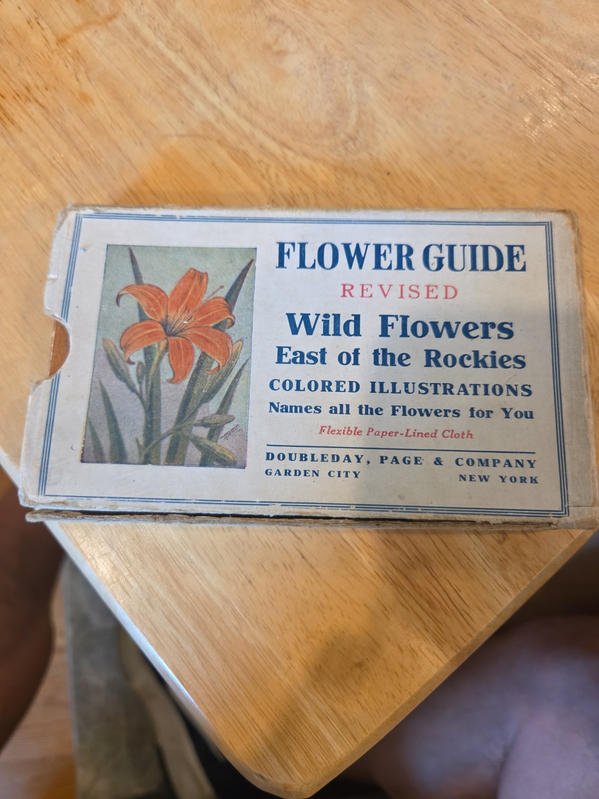 1907 Flower Guide: Wild Flowers East of the Rockies