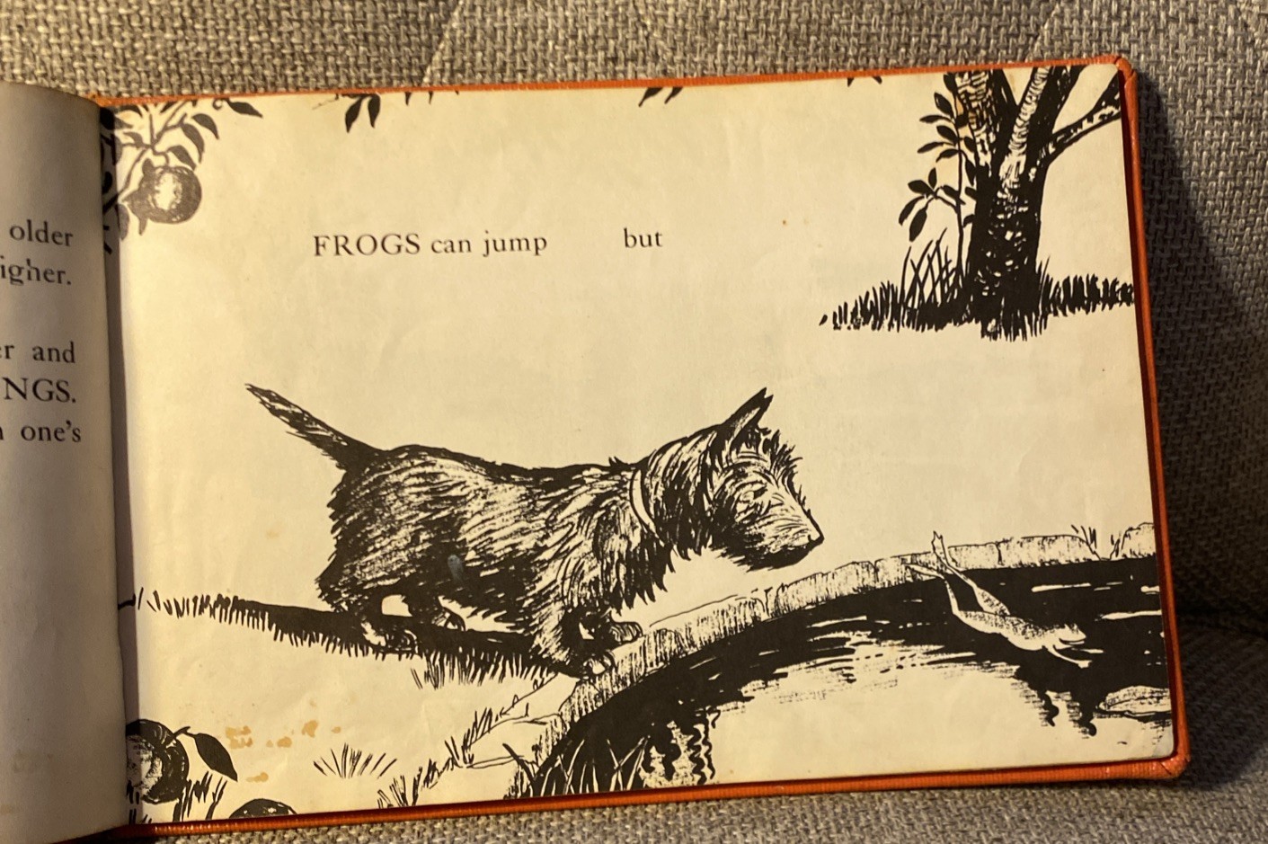 1933 MARJORIE FLACK „ANGUS AND THE CAT“ 1ST ED ILLUSTRATED HB BOOK Library Ed