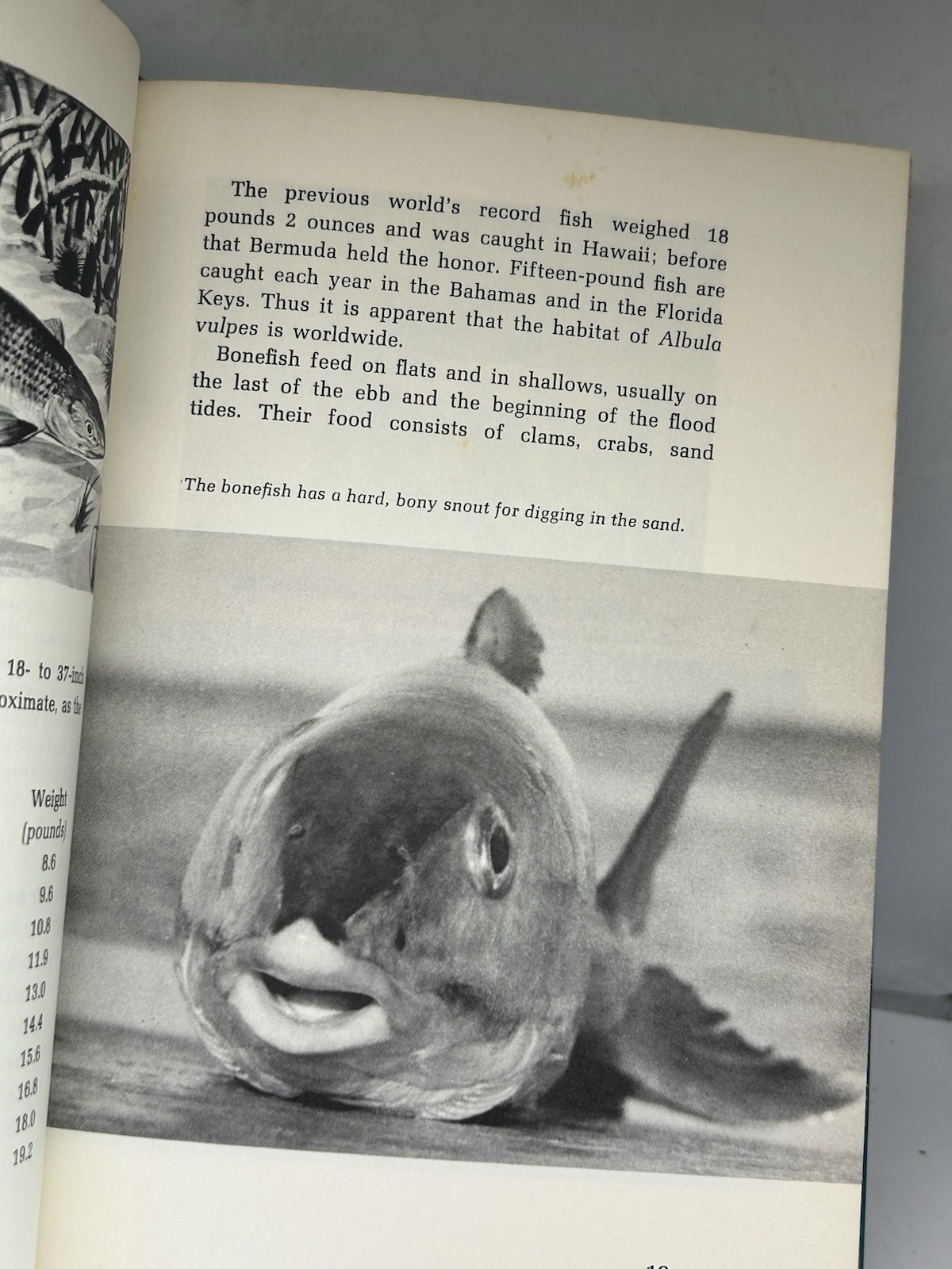 Stanley M Babson BONEFISHING Revised Edition 1973 HC DJ