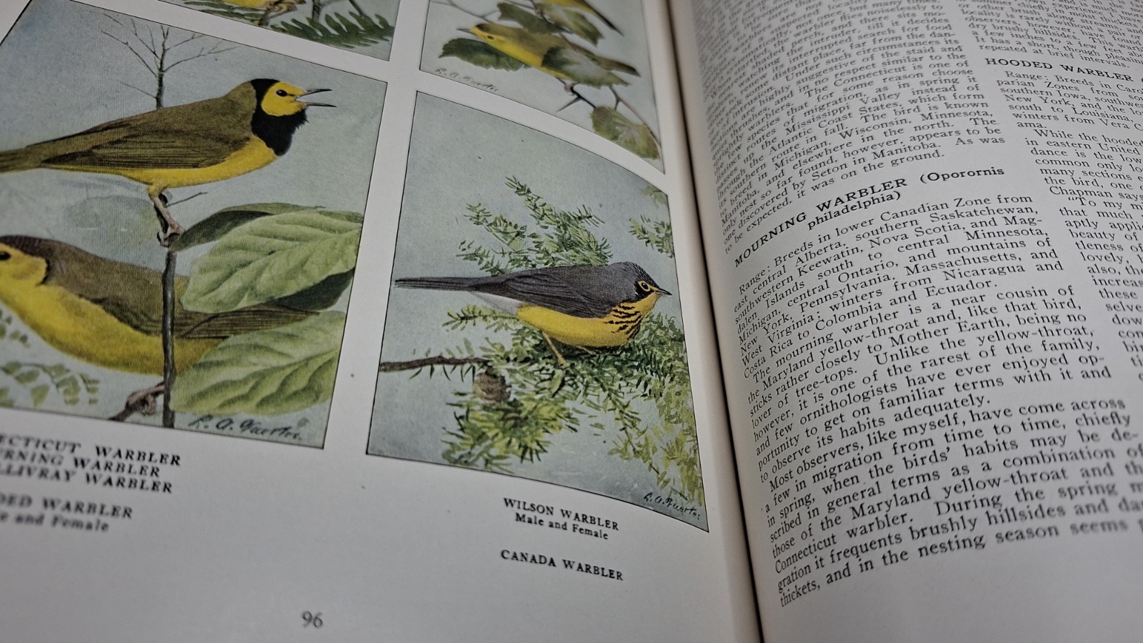 The Book of Birds National Geographic Society by Henry W Henshaw 1918 Very Good