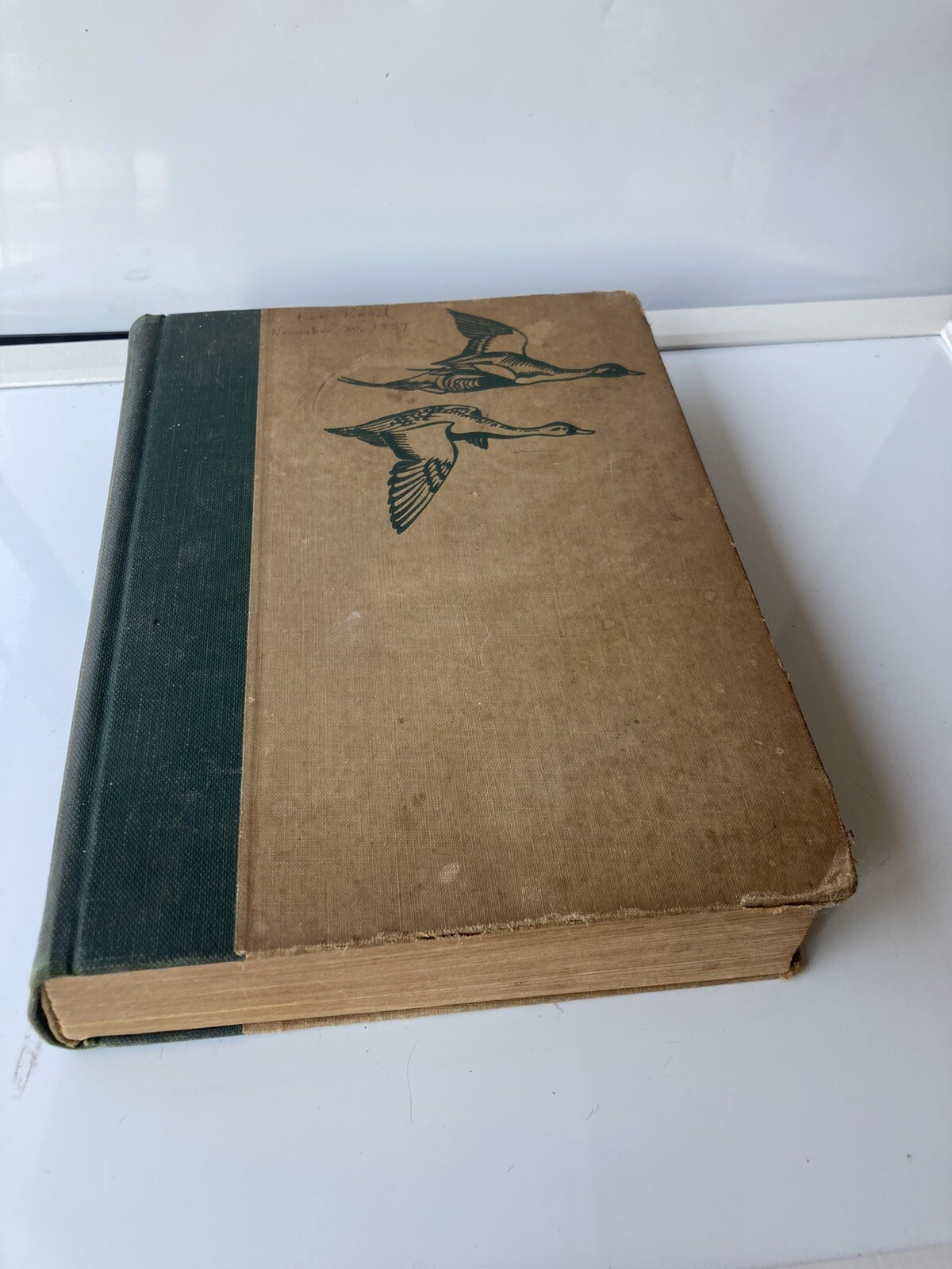 Birds of America 1936 Hardcover Color Plates Garden City Books Gilbert Pearson